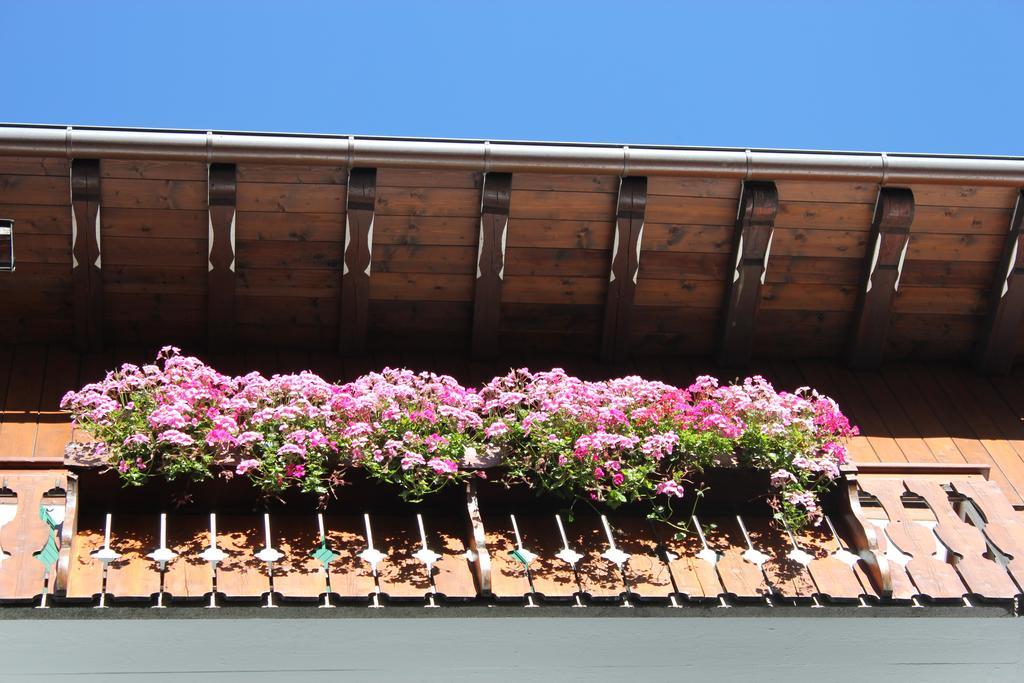 Hotel Montana Κορτίνα Ντ' Αμπέτσο Εξωτερικό φωτογραφία